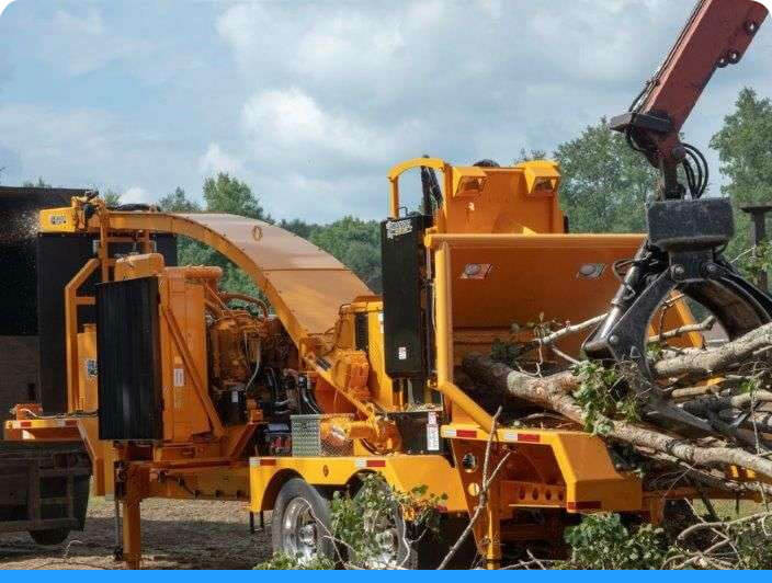 2590