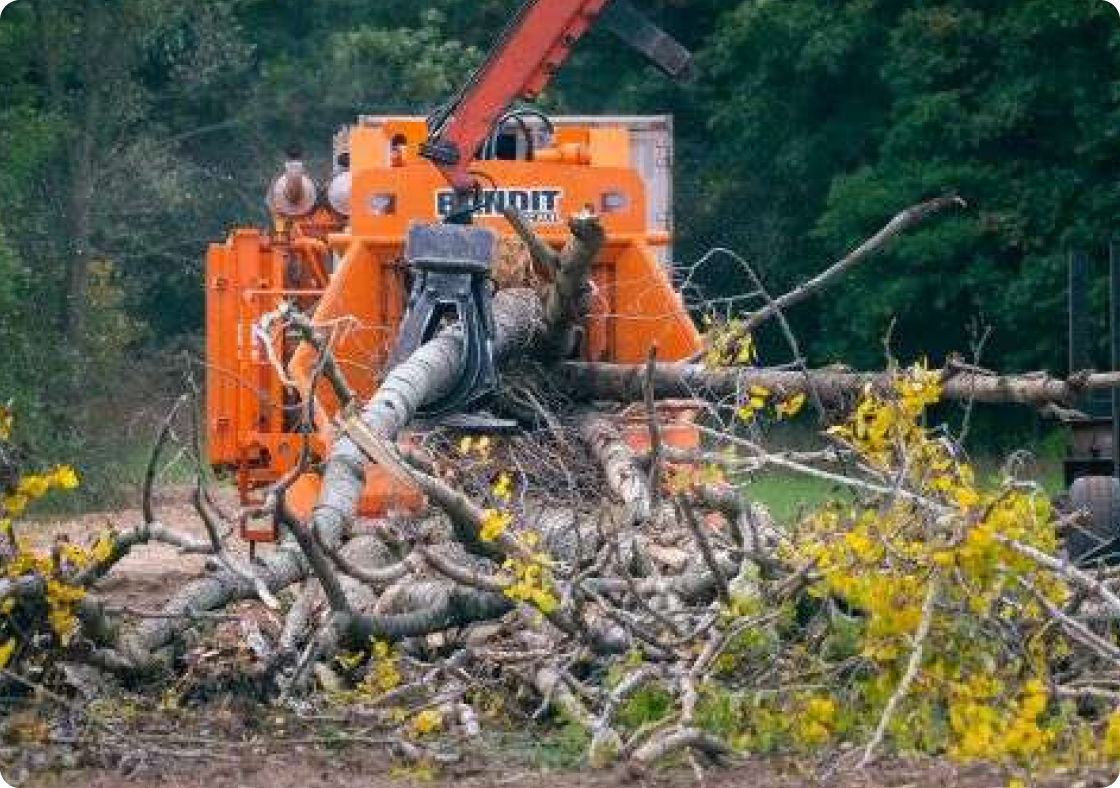 WHOLE TREE CHIPPERS